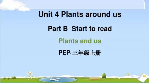 2024年新人教PEP版三年级上册英语教学课件 Unit 4 Part B 第4课时 