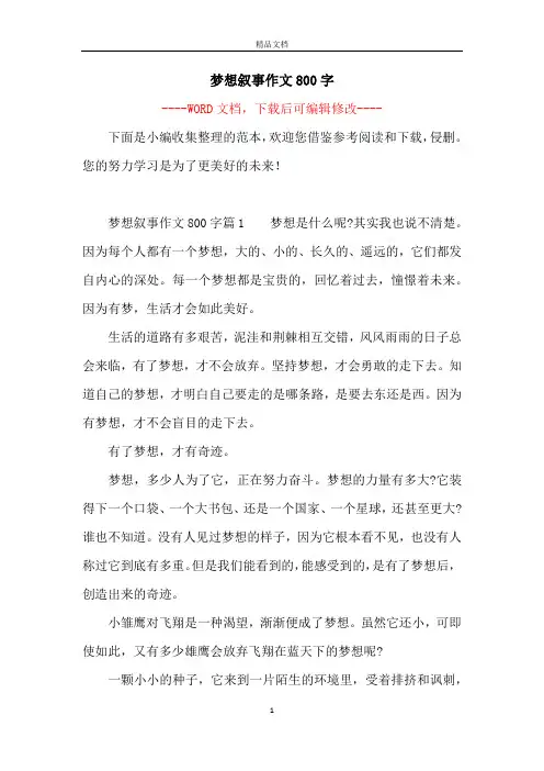 梦想叙事作文800字