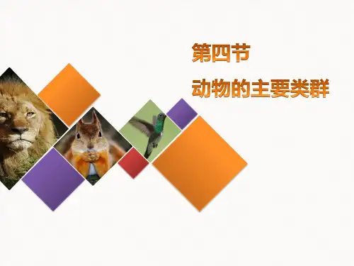 北师大版八年级生物下册 动物的主要类群 教学课件下载