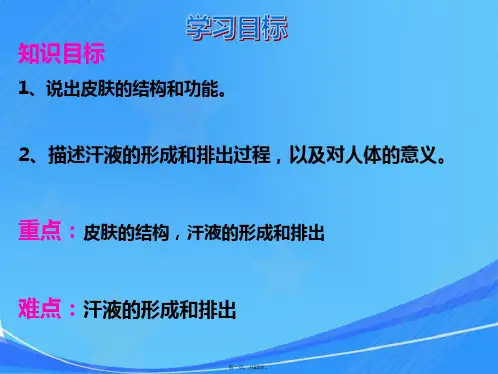 汗液的形成和排出课件