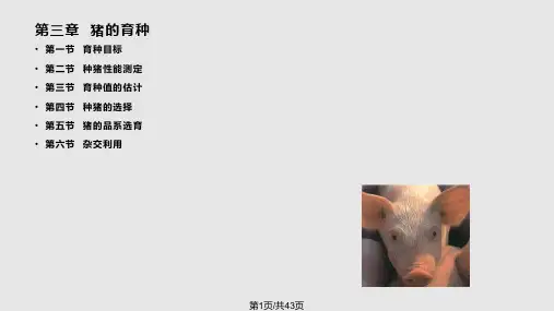 育种值的估计PPT课件