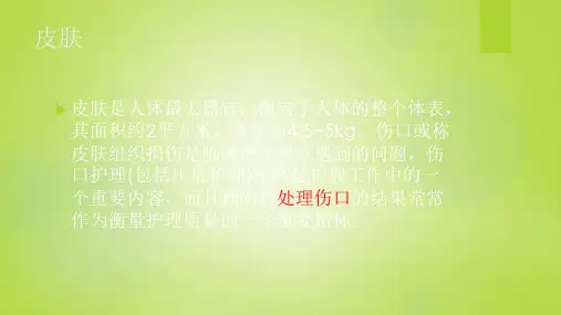 最新伤口造口专科护士培训主题讲座课件