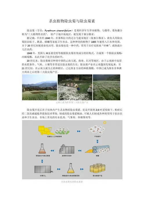 植物源农药除虫菊素简介