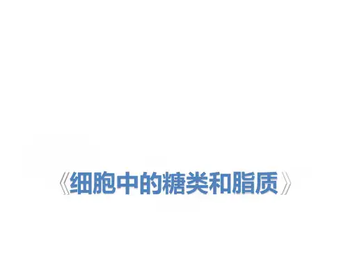 必修一(3)细胞中的糖类和脂质 课件 2021届高考一轮复习生物(共17张PPT)