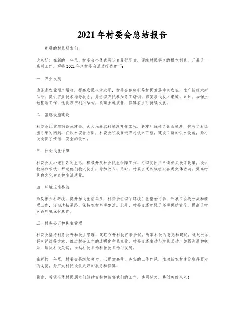 2021年村委会总结报告