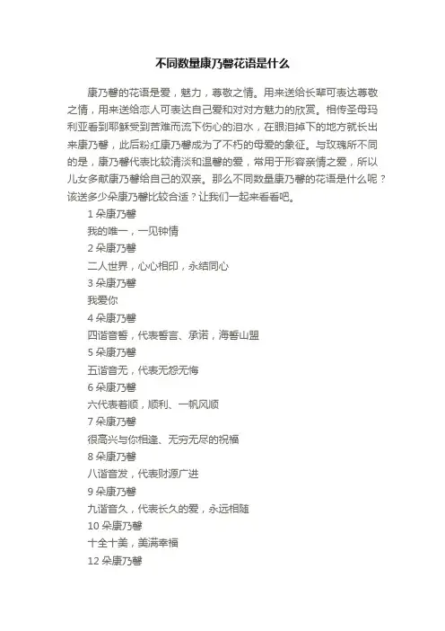 不同数量康乃馨花语是什么