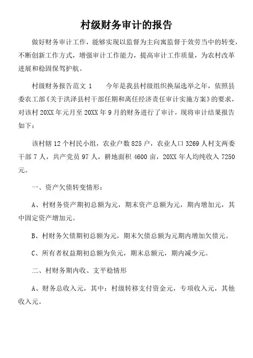 村级财务审计的报告