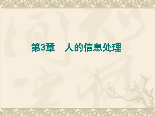 第3章 人的信息处理讲解