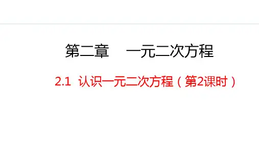 北师大版九年级数学上册认识一元二次方程第2课时课件
