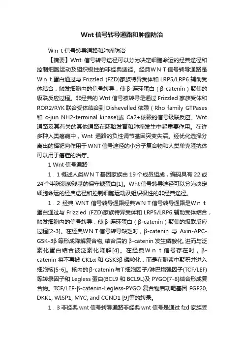 Wnt信号转导通路和肿瘤防治