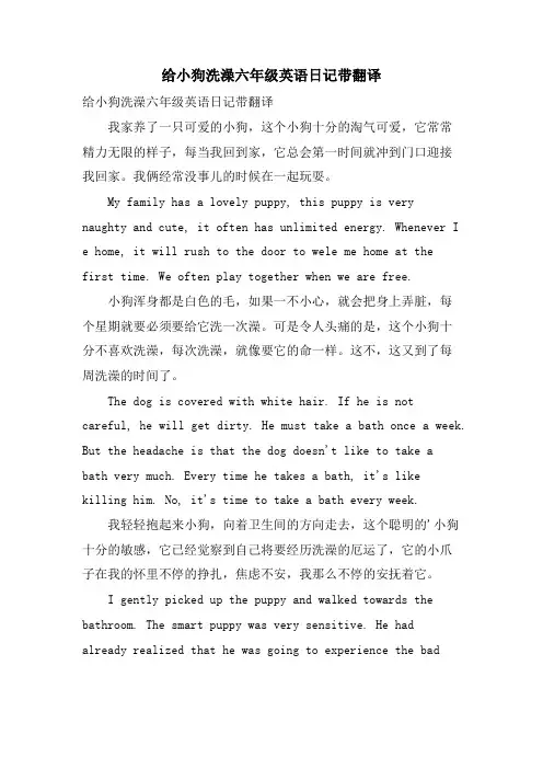 给小狗洗澡六年级英语日记带翻译