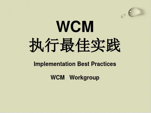 世界级工厂课件(WCM)执行最佳实践课件(PPT17张)