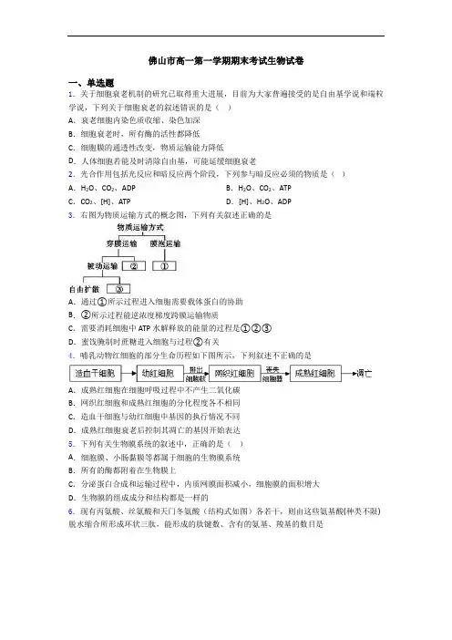 佛山市高一第一学期期末考试生物试卷