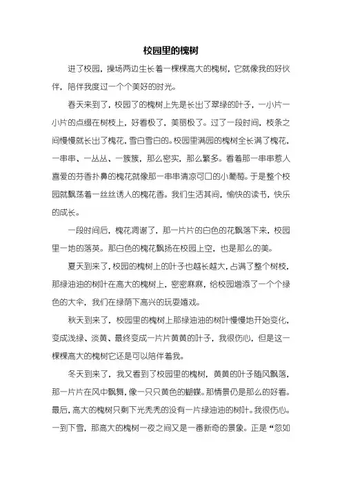 四年级作文：校园里的槐树作文600字
