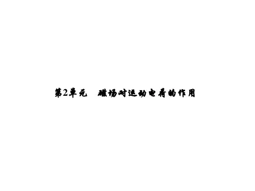 高考物理大一轮精讲夯实必备知识精研疑难要点提升学科素养8.2磁场对运动电荷的作用课件