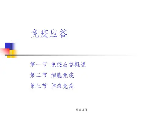 《免疫应答》