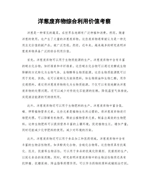 洋葱废弃物综合利用价值考察