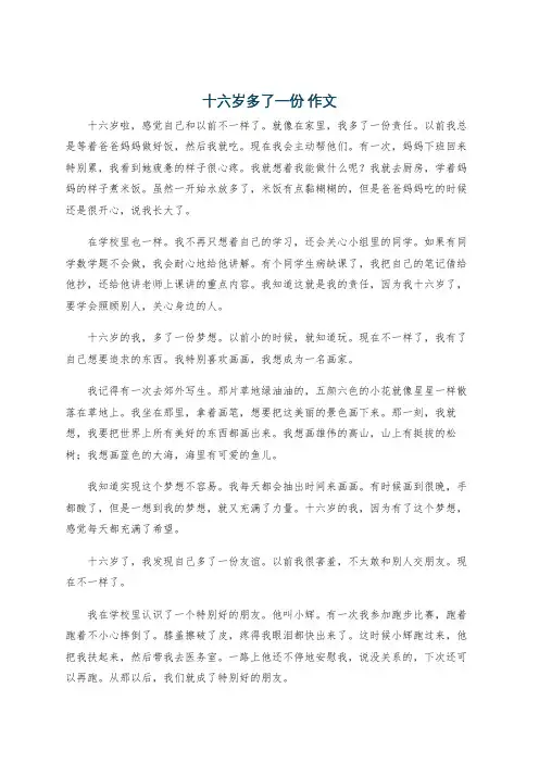 十六岁多了一份 作文