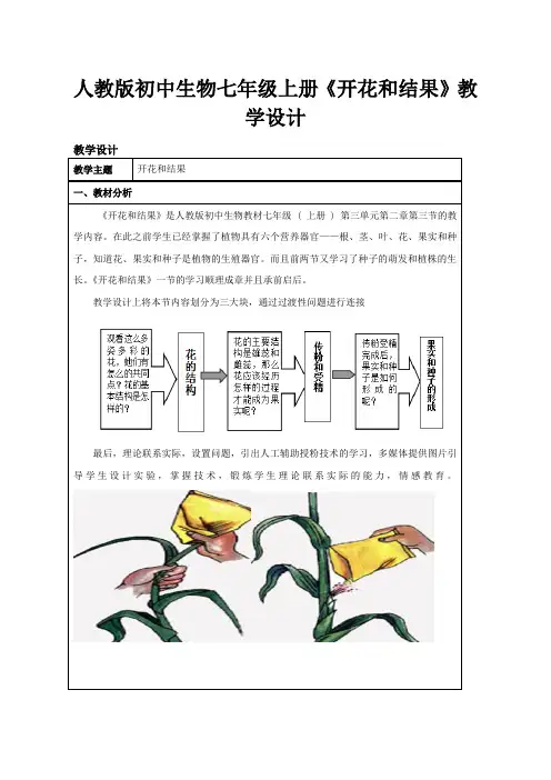 人教版初中生物七年级上册《开花和结果》教学设计