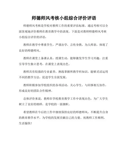 师德师风考核小组综合评价评语