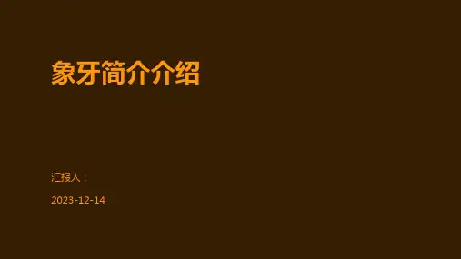 象牙简介介绍