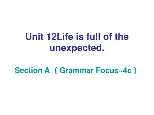 人教英语九年级下 课件：Unit 12 Section A (Grammar Focus~4c)