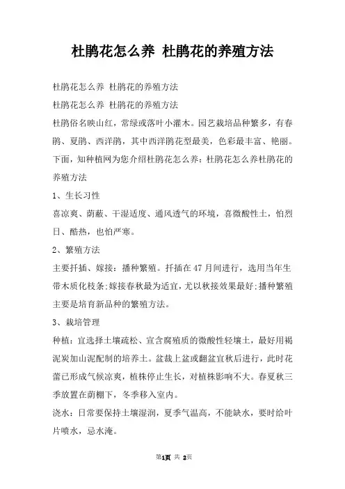杜鹃花怎么养 杜鹃花的养殖方法