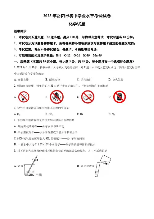 2023年湖南省岳阳市中考化学真题(原卷与解析)