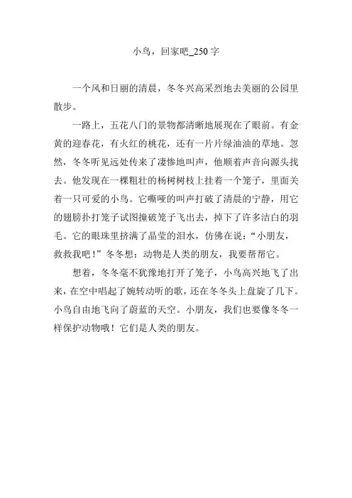 小鸟,回家吧_250字