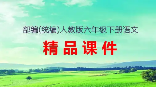 3 古诗三首 《十五夜望月》   教学课件PPT   部编(统编)人教版 六年级下语文