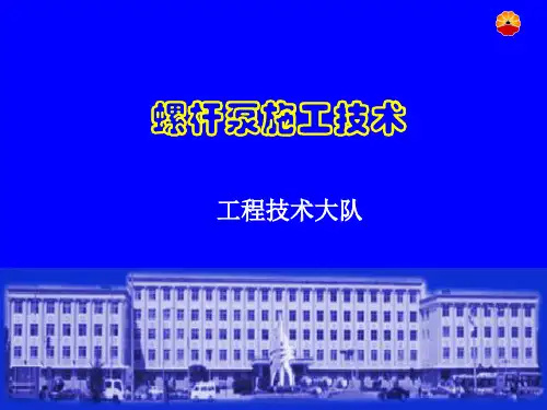 094140_螺杆泵教材2010