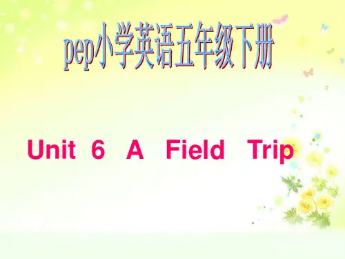 五年级下册英语第六单元B部分Read  and  write
