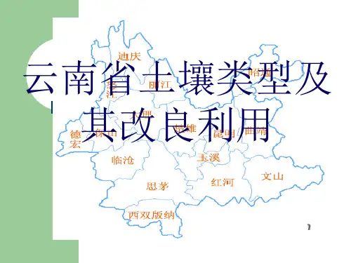 云南土壤类型详解