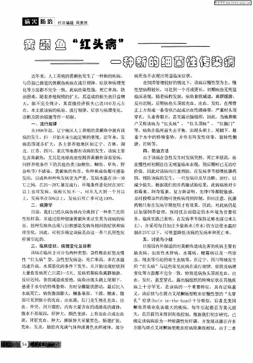 黄颡鱼“红头病”一种新的细菌性传染病