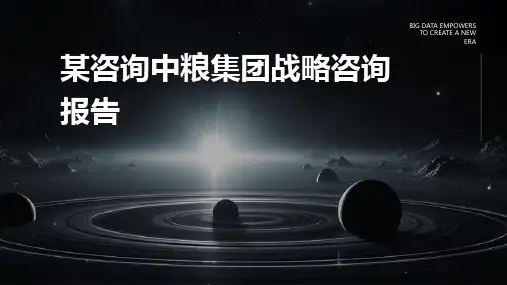 某咨询中粮集团战略咨询报告