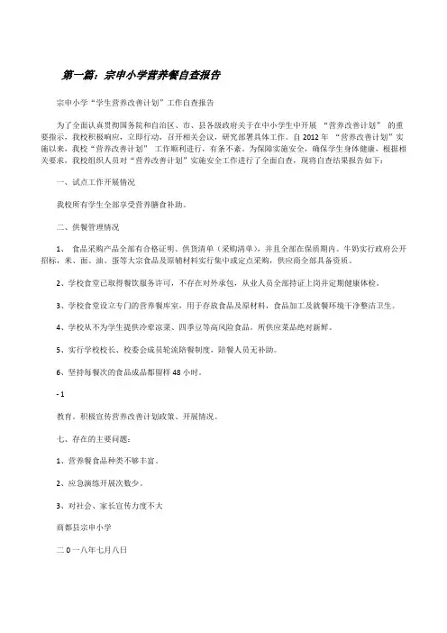 宗申小学营养餐自查报告[修改版]