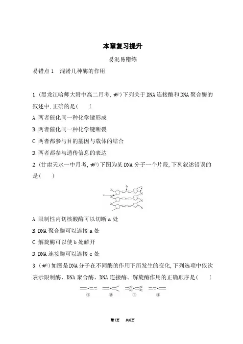 人教版高中生物选择性必修第3册 第3章 基因工程 本章复习提升