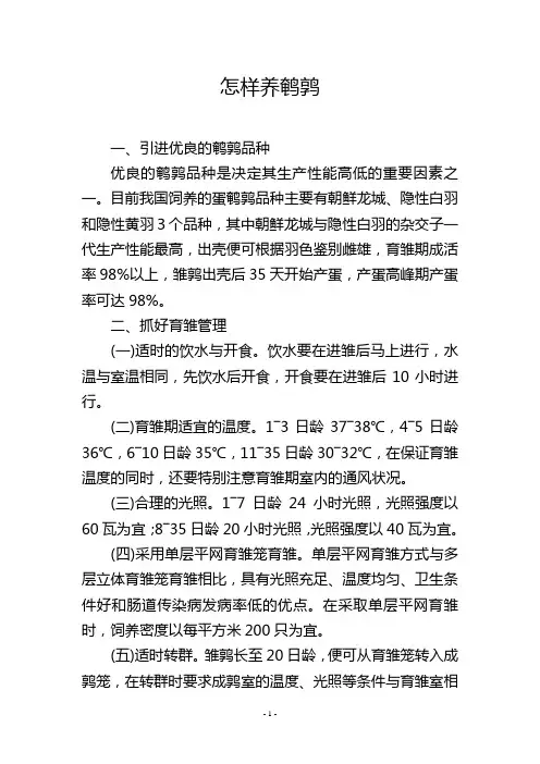 怎样养鹌鹑