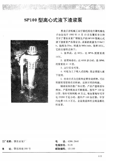 SP100型离心式液下渣浆泵