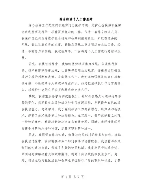 综合执法个人工作总结