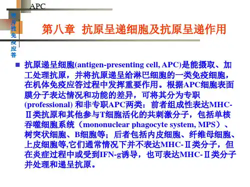 抗原递呈细胞与抗原的处理及递呈