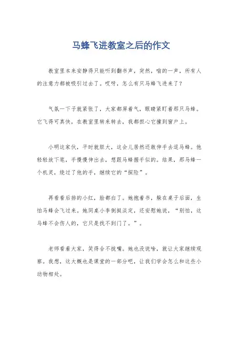 马蜂飞进教室之后的作文