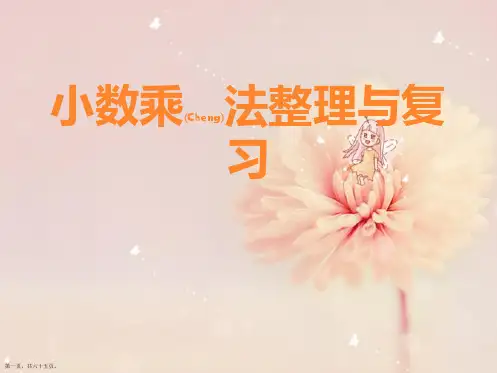 人教版五年级上册数学小数乘法整理与复习