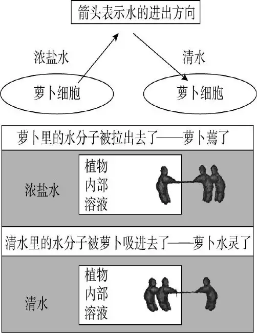 教师资格考试教育知识与能力试题(中学)2