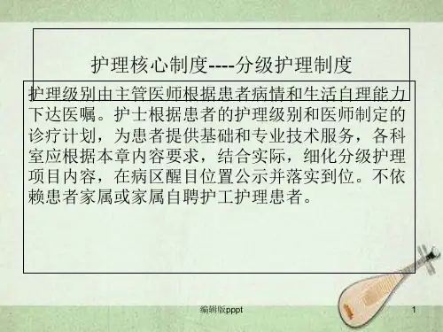 护理核心制度之分级护理制度PPT课件