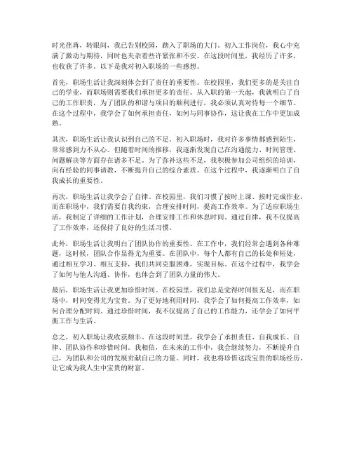 刚步入工作岗位的感想
