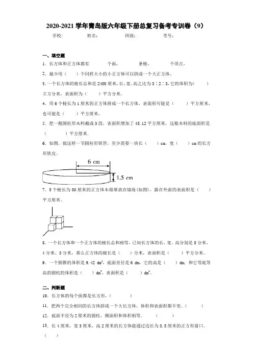 2020-2021学年青岛版六年级下册总复习备考专训卷(9)