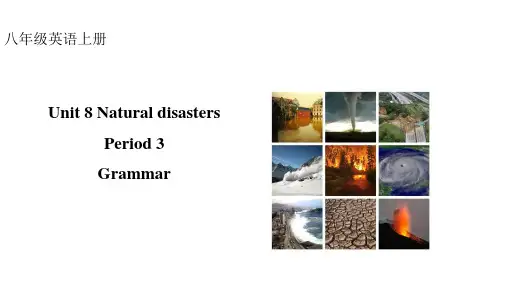 Unit 8 Grammar-八年级英语上册(牛津译林版)