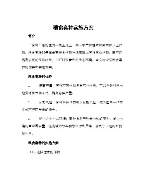 粮食套种实施方案