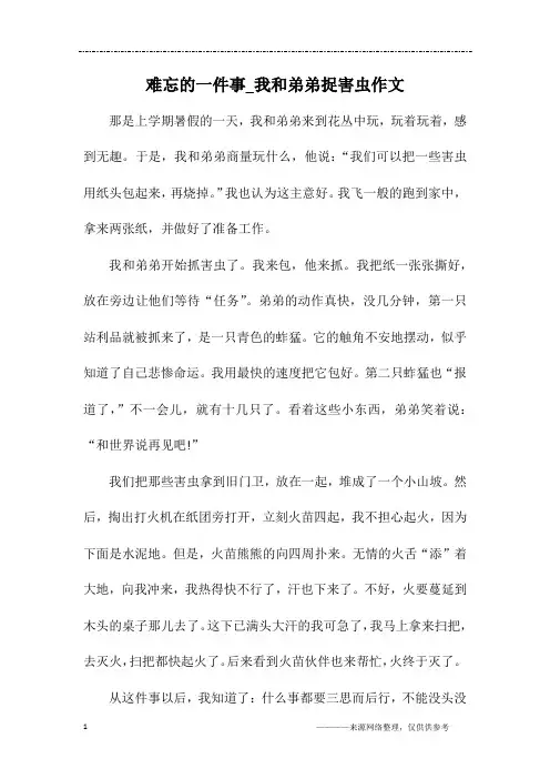 难忘的一件事_我和弟弟捉害虫作文